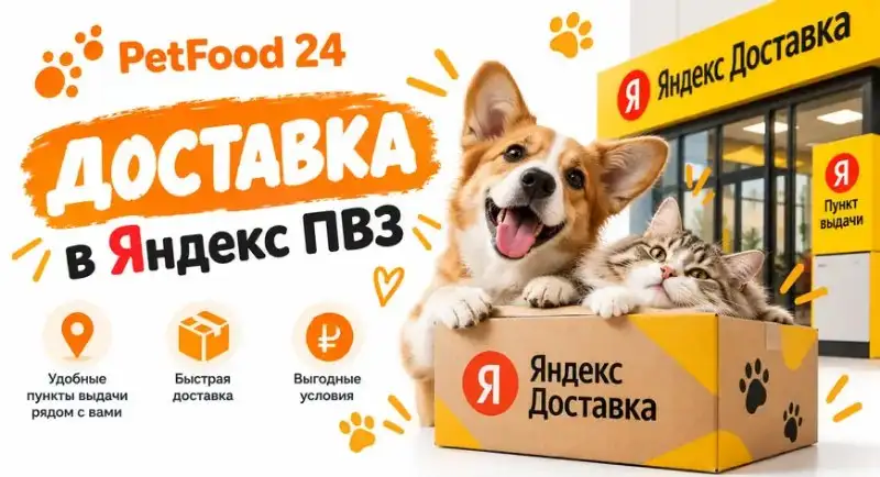 Мы запустили Яндекс Доставку